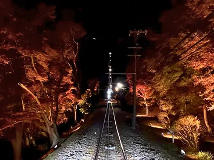 高尾山ケーブルカー沿線ライトアップ